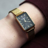 Zegarek Timemaster ZQTIM-260/04
